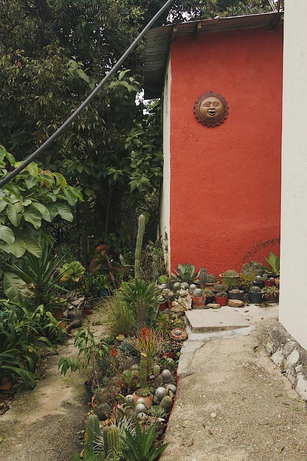 Cabana Campestre En Oaxaca Eksteriør bilde