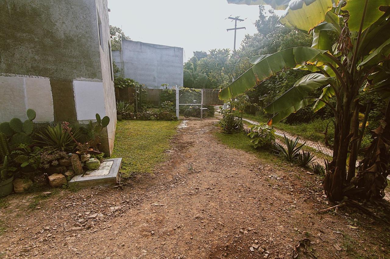 Cabana Campestre En Oaxaca Eksteriør bilde