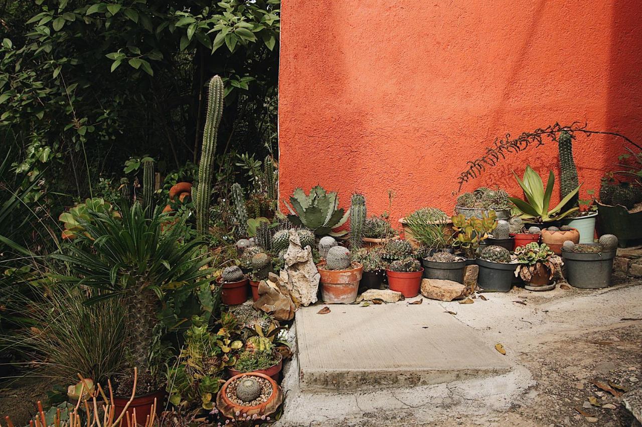 Cabana Campestre En Oaxaca Eksteriør bilde