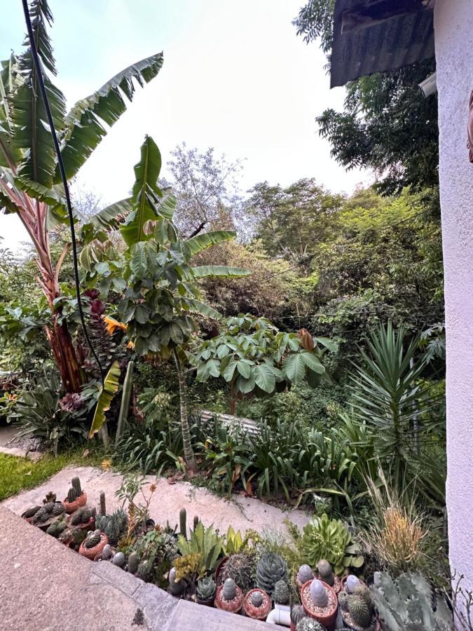 Cabana Campestre En Oaxaca Eksteriør bilde